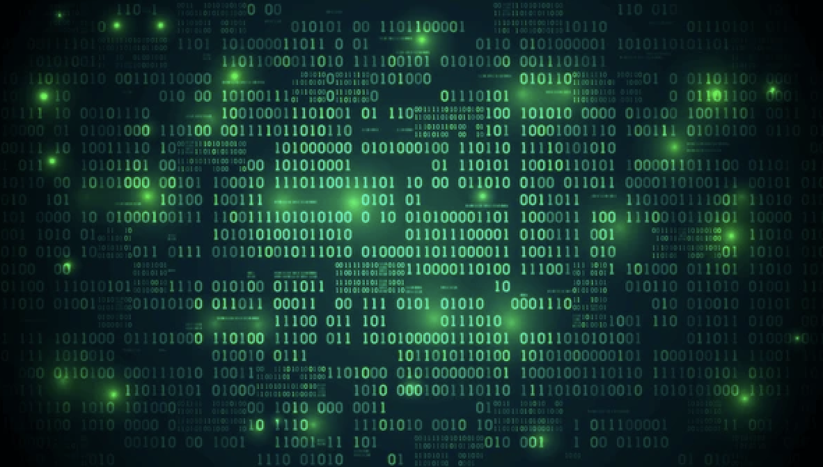 ארגון המחשב